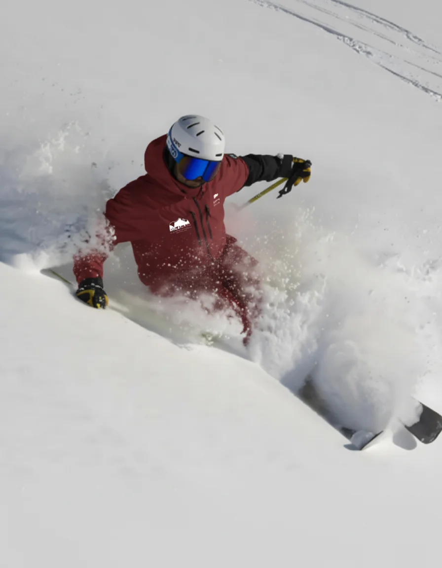 Técnica de esquí profesional